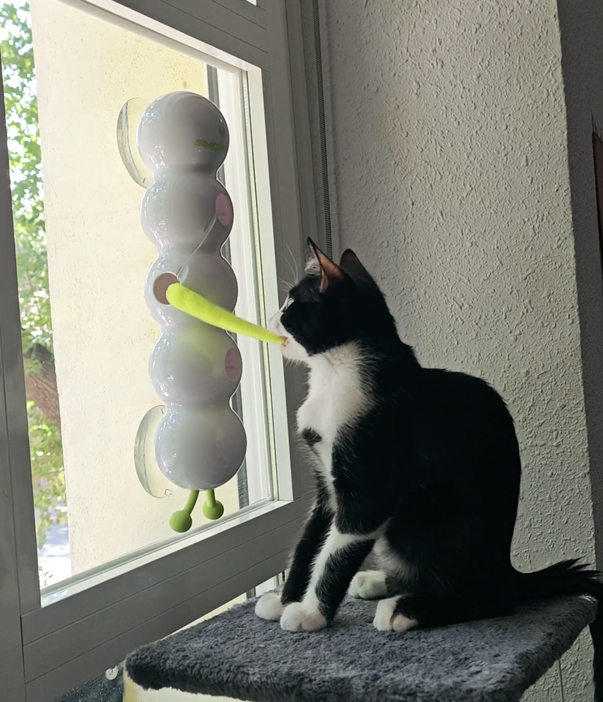 SmartWorm